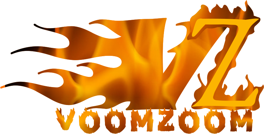 Voomzoom Logo